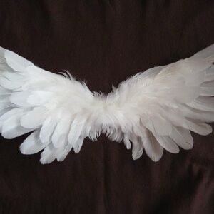 Meet your Posher, Addie